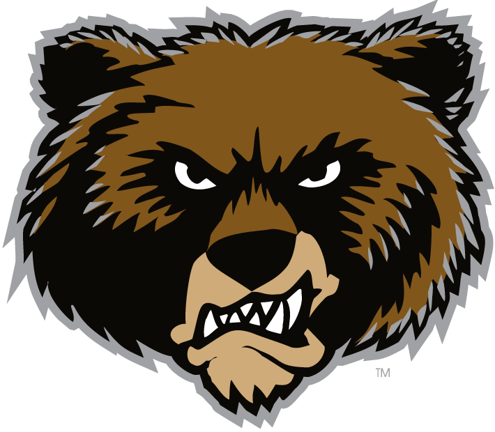 Montana Grizzlies 1996-Pres Alternate Logo iron on transfers for clothing